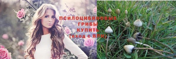 прущая мука Армянск