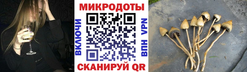 Псилоцибиновые грибы Cubensis  Купить где  Бодайбо 